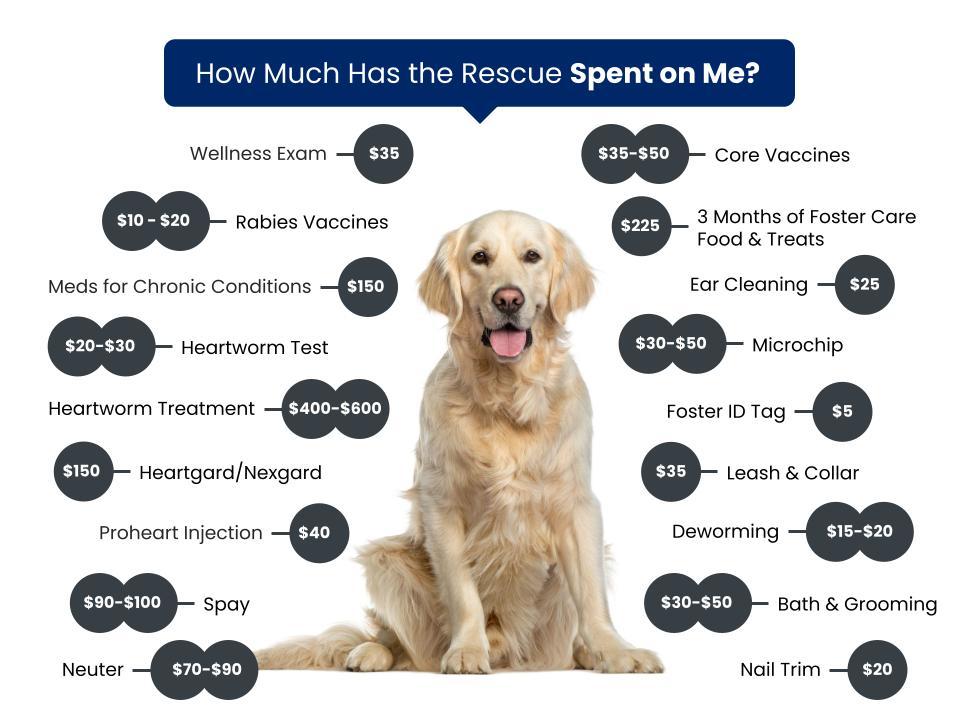Freedom First Rescue Fee Graphic