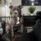 Quincy
