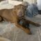 Zoey